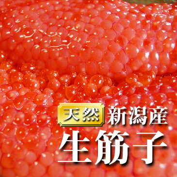 【送料無料】新潟産 生筋子（生いくら）季節限定「ずっしり大粒 生すじこ」 3kg