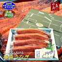 【父の日ギフト】【土用丑の日】炭火焼 鰻うなぎ蒲焼き ふっくらとろける極旨ウナギ 約30cm超特大 約200g×4尾