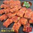 【父の日ギフト】【土用丑の日】炭火焼 鰻うなぎ蒲焼き ふっくらとろける極旨ウナギ ひとくち串 約25g×18串(約450g)