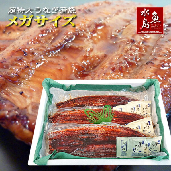 【送料無料】炭火焼 鰻うなぎ蒲焼き 超特大 極厚の食べ応え 特メガサイズ 約500g×3尾 父の日ギフト/土用丑の日/お中元