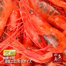 新潟産 甘エビ「南蛮エビ」鮮度抜群・刺身用 極上特大サイズ1kg（冷凍）