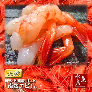 佐渡産 甘エビ「南蛮エビ」鮮度抜群・刺身用 1kg（冷凍）