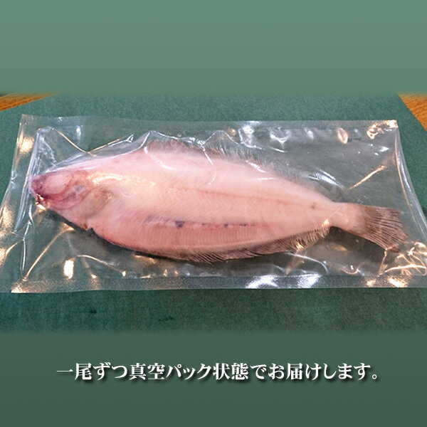 新潟産 旨味凝縮・ヤナギカレイ 一夜干し 一尾250〜300g 4尾入（自家製手造り 柳カレイ干物） 3