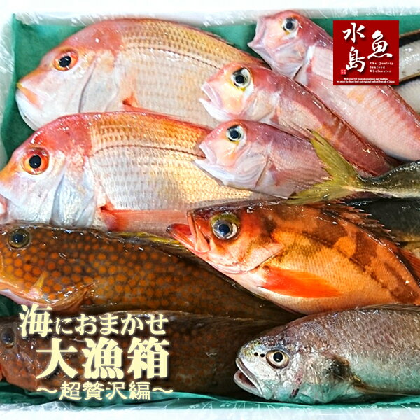 【送料無料】厳選 日本海の鮮魚セ