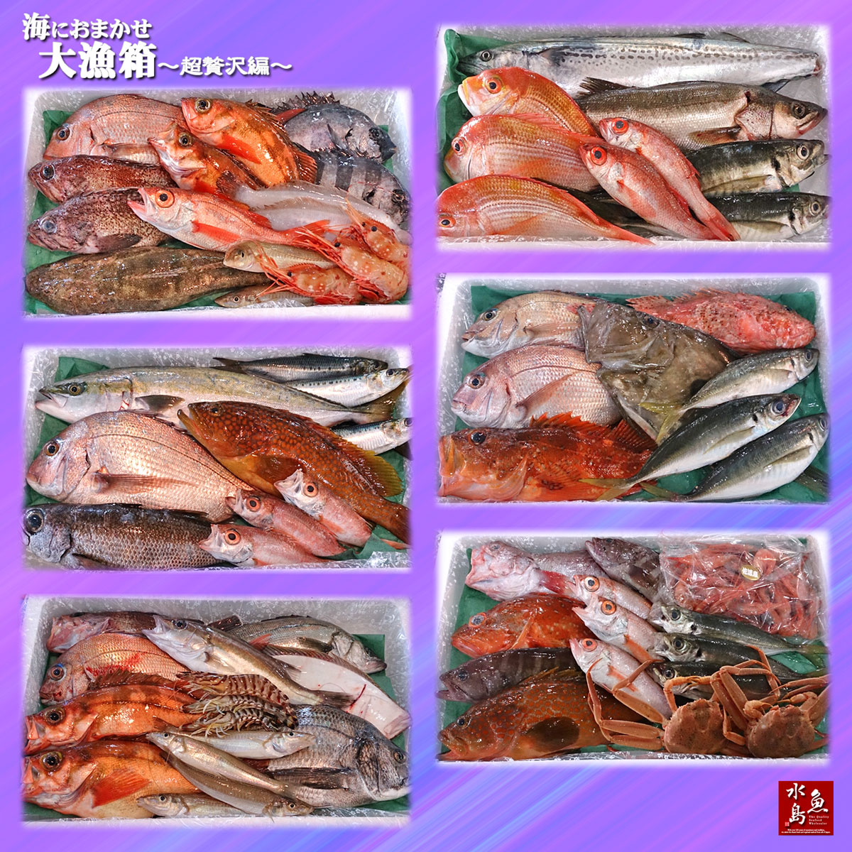 魚のプロが驚きの内容で厳選 新潟から直送 厳選 日本海の鮮魚セット 海におまかせ 大漁箱 超贅沢編 大満足詰め合わせ 売れ筋がひ新作! 魚のプロが驚きの内容で厳選 新潟から直送 厳選 日本海の鮮魚セット 海におまかせ 大漁箱 超贅沢編 大満足詰め合わせ 売れ筋がひ新作!
