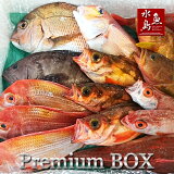 【送料無料】厳選日本海の鮮魚セット「海におまかせ・大漁箱プレミアムBOX」大満足詰め合わせ