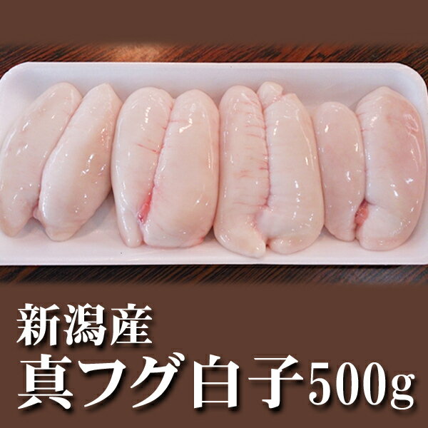 新潟産天然マフグ真ふぐ白子生500g