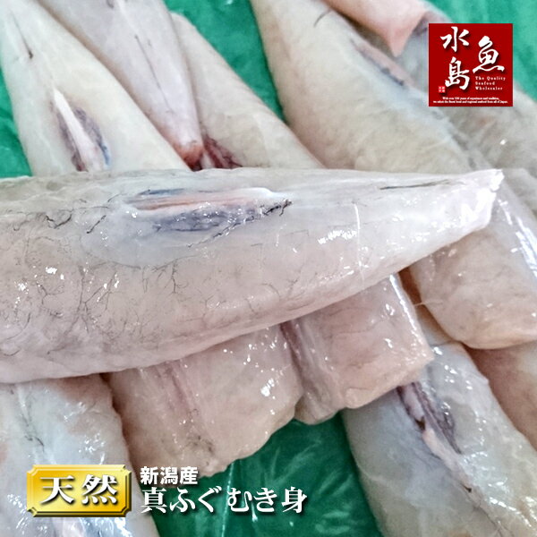 新潟産 天然マフグ 真ふぐ むき身 1kg(冷凍)