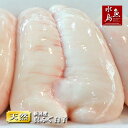 白子 【送料無料】新潟産 天然マフグ 真ふぐ白子 生1kg