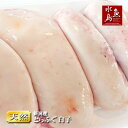 白子 新潟産 とらふぐ白子 天然トラフグ 冷凍1kg 限定販売