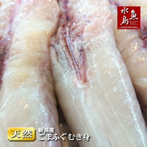 新潟産 天然ゴマフグ ごまふぐ むき身 1kg(冷凍) 新潟産 天然ゴマフグ ごまふぐ むき身 1kg(冷凍)