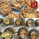 【送料無料】「あわび&さざえセット」 新潟産 天然 活アワビ500g+活サザエ120g×10個