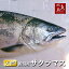 【送料無料】新潟県産 天然サクラマス 本鱒 生一尾 3.0〜3.4kg