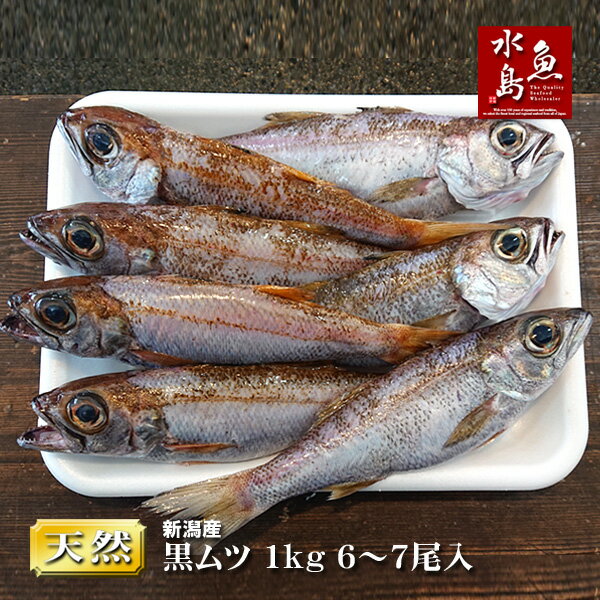 黒ムツ 新潟産 黒むつ 約1kg 6〜7尾入(生・冷凍)