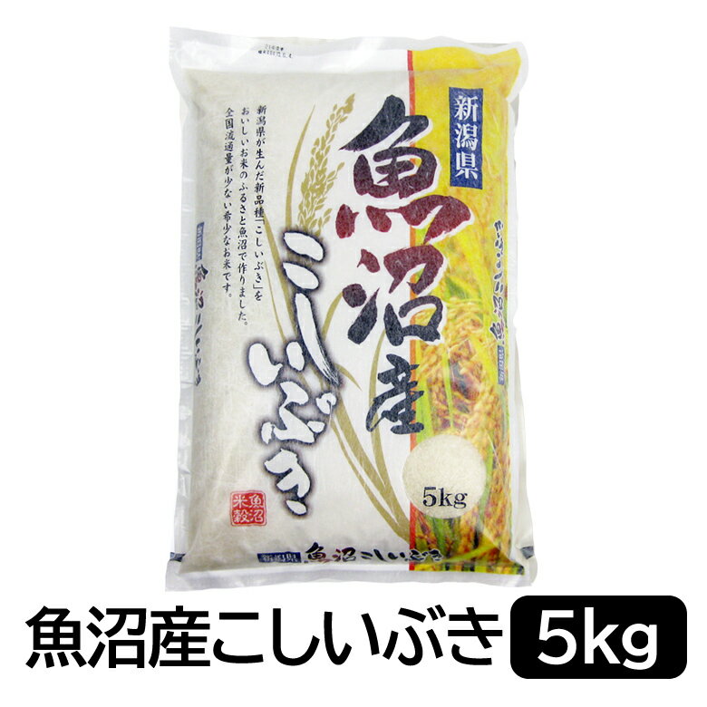 【令和4年産】魚沼産 こしいぶき 白米 5kg 新潟県産 送料無料 新潟 こしいぶき...