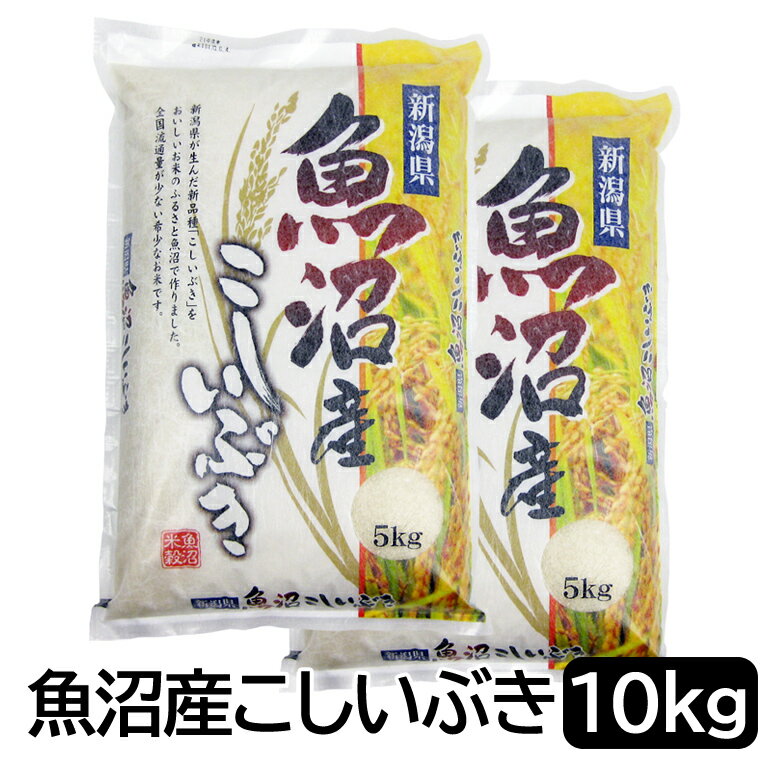 【令和4年産】魚沼産 こしいぶき 白米 10kg (5kg×2袋) 新潟県産 送料無...