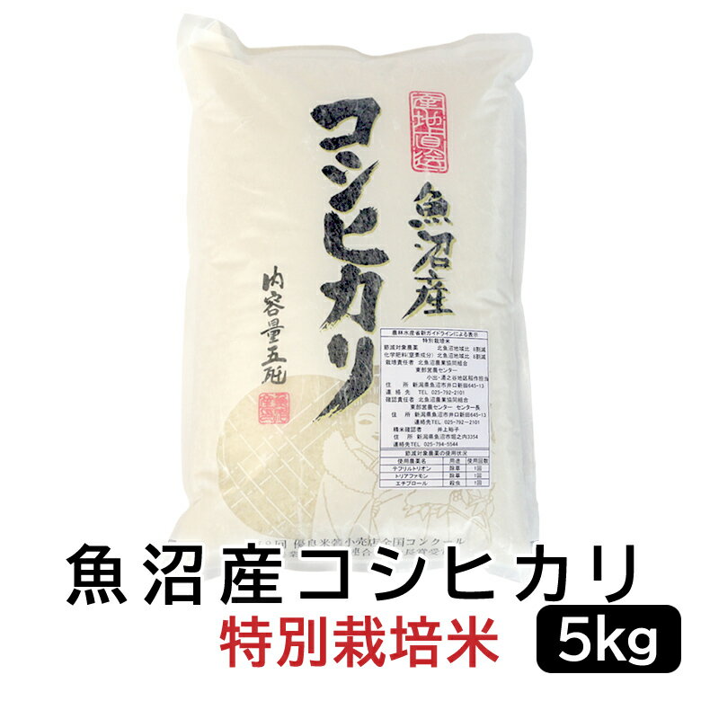 魚沼産コシヒカリ 【令和5年産】 魚沼産コシヒカリ特別栽培米 白米 5kg 新潟県産 送料無料 新潟 こしひかり おこめ お米 米 米5kg 米5キロ 白米 コメブランド米 お米マイスター認定 贈り物 お祝い お取り寄せ ギフト 受注精米 【送料無料（北海道・九州・沖縄は除く）離島は発送不可】