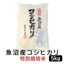 魚沼産コシヒカリ 【令和5年産】 魚沼産コシヒカリ特別栽培米 白米 5kg 新潟県産 送料無料 新潟 こしひかり おこめ お米 米 米5kg 米5キロ 白米 コメブランド米 お米マイスター認定 贈り物 お祝い お取り寄せ ギフト 受注精米 【送料無料（北海道・九州・沖縄は除く）離島は発送不可】