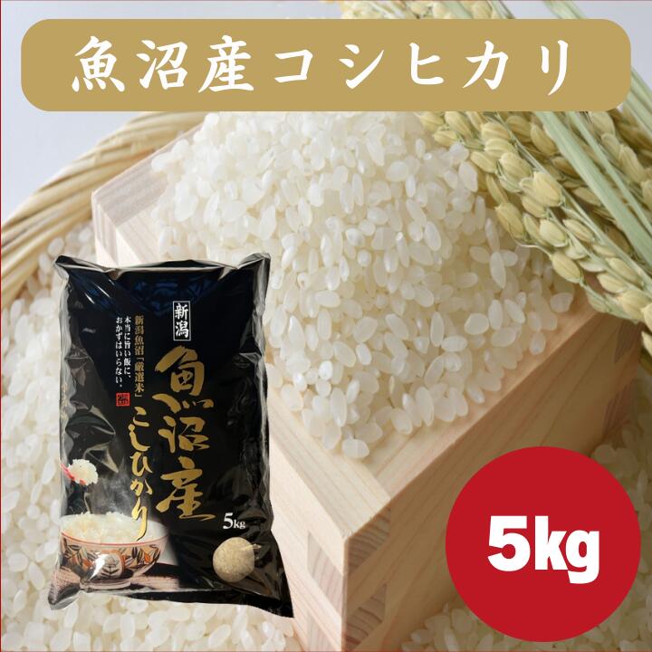 魚沼産コシヒカリ 5kg�