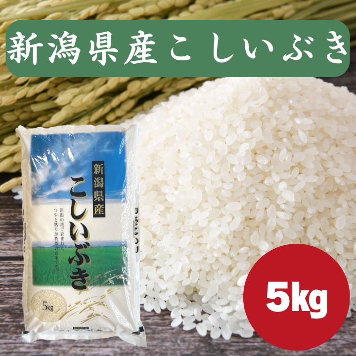 楽天市場】こしいぶき5キロの通販
