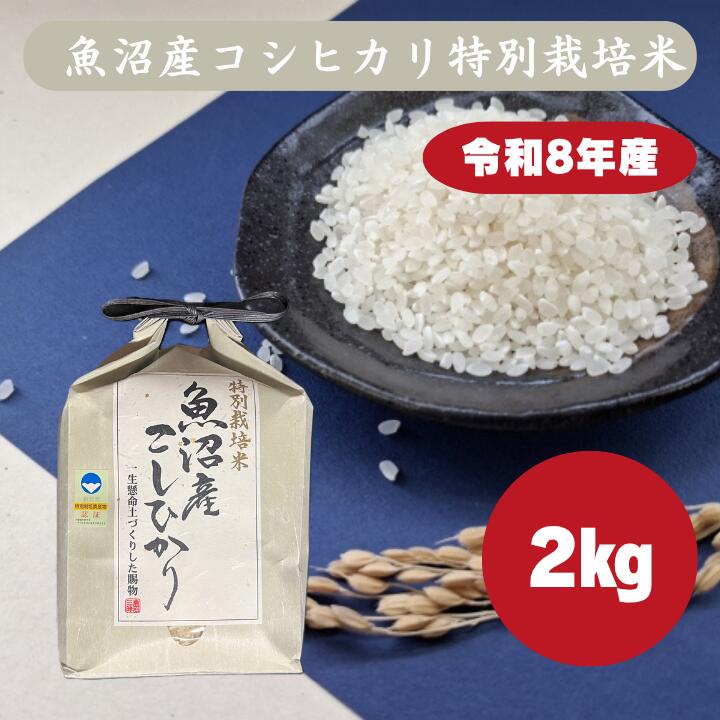 楽天市場】新潟県産コシヒカリ2kgの通販