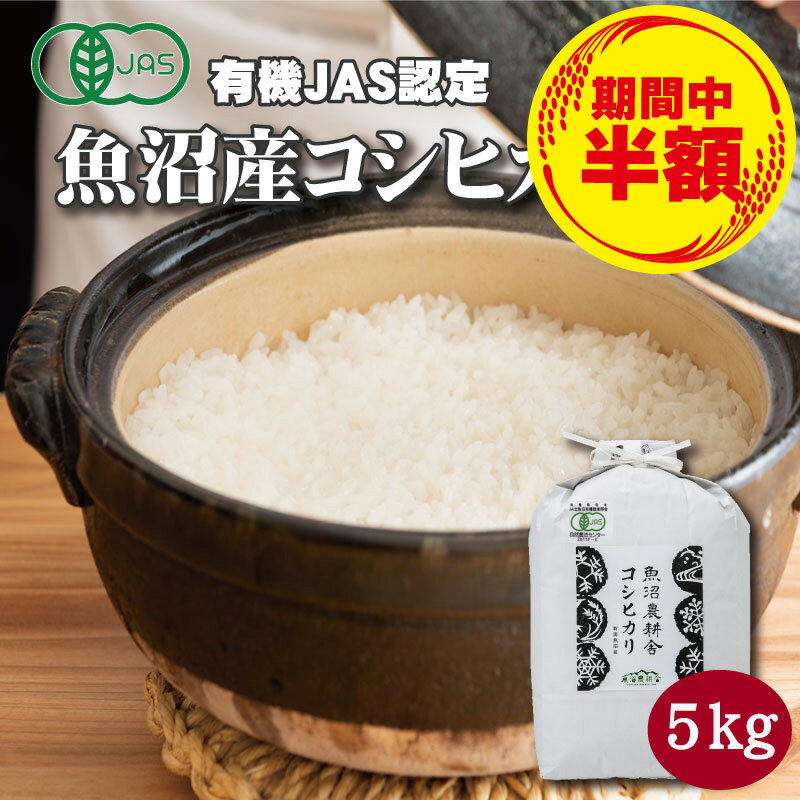 【☆半額☆数量限定】