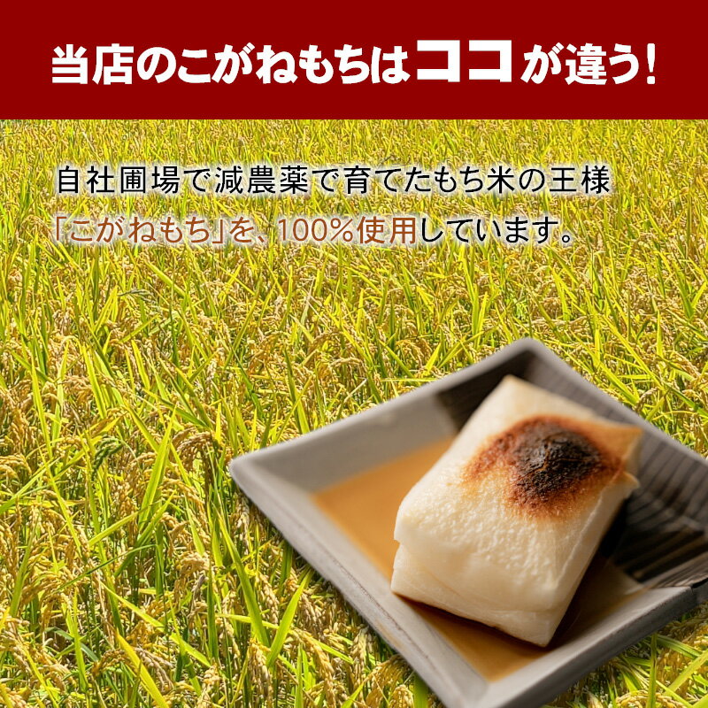 のびておいしい！ 切餅 魚沼産こがねもち 送料無料 ポスト投函品 グルメ お取り寄せ 無添加 きりもち 餅 国産　魚沼産こがねもち 切り餅 1袋240g(4切れ)×4 きりもち 餅 国産 こがねもち 魚沼産こがね餅 新潟県産 グルメ 新潟 おいしい お餅 おもち ギフト 新潟産 こがねもち 美味しい お取り寄せ 魚沼産 もち モチ 切餅 美味しいお餅 お取り寄せグルメ