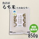 魚沼産こがねもち 特別栽培 850g 令和6年 餅 国産 魚沼産 減農薬 令和6年産 新潟特別栽培米 送料無料 のし 新潟産こがねもち 新潟県産特別栽培米 こが...