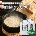 玄米5kg×2 特別栽培米 