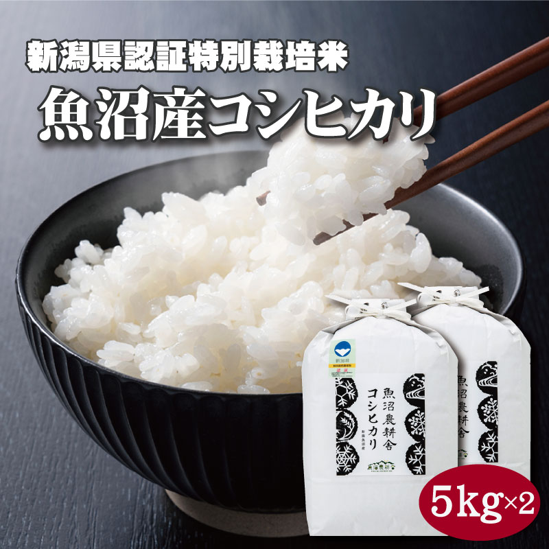 魚沼産コシヒカリ 魚沼産コシヒカリ 特別栽培 精米 5kg×2 減農薬米 令和5年産 お米10キロ コシヒカリ 新潟 令和5年 10kg 新潟産の米 魚沼コシヒカリ こしひかり 魚沼こしひかり 魚沼産 白米 米 高級米 コシヒカリ10Kg 特別栽培米 美味しい お米 贈り物 お取り寄せ ギフト のし対応 送料無料