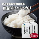 魚沼産コシヒカリ 魚沼産コシヒカリ 特別栽培 精米 5kg×2 減農薬米 令和5年産 お米10キロ コシヒカリ 新潟 令和5年 10kg 魚沼コシヒカリ こしひかり 魚沼こしひかり 魚沼産 白米 米 高級米 コシヒカリ10Kg 特別栽培米 美味しい お米 贈り物 お取り寄せ ギフト 贈答 のし対応 送料無料