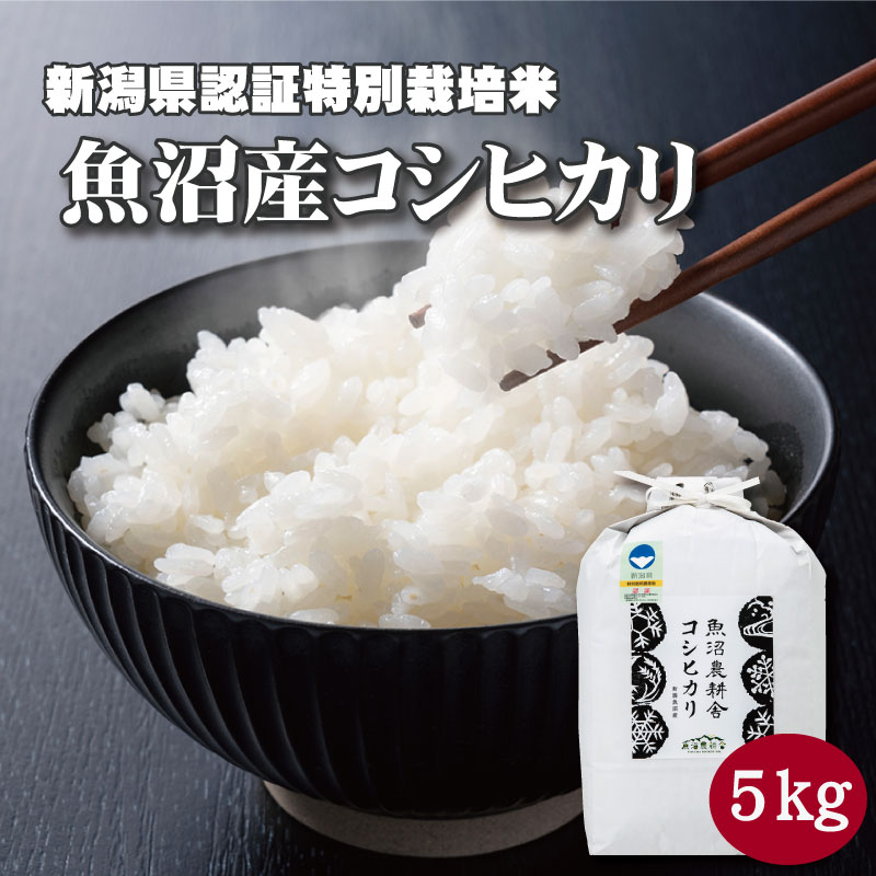 魚沼産コシヒカリ 魚沼産コシヒカリ 特別栽培 精米 5kg 減農薬米 令和5年産 新潟産 米 コシヒカリ米 新潟産コシヒカリ5kg こめ5kg こしひかり 新潟コシヒカリ5kg お米 送料無料 魚沼米 特別栽培米 魚沼産 魚沼産こしひかり 高級米 お取り寄せ 米ギフト 内祝い 贈答 贈り物 のし対応