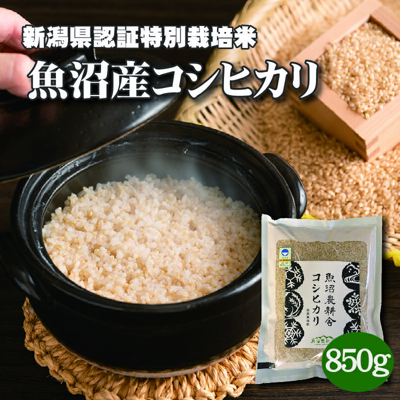 魚沼産コシヒカリ 特別栽培 玄米 850g 令和5年 減農薬 令和5年産 新潟特別栽培米 送料無料 のし 新潟産こしひかり こしひかり 新潟県産特別栽培米 コシヒカリ 国産 減農薬米 魚沼米 魚沼産 一人暮らし 魚沼こしひかり こめ お米 贈り物 ギフト 内祝い 魚沼産こしひかり