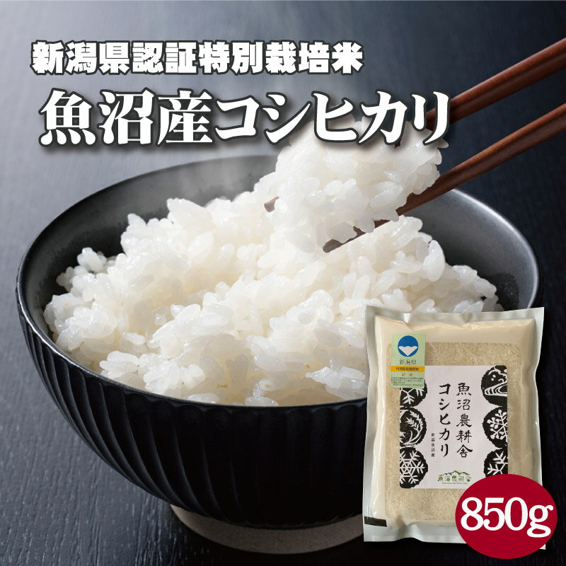 魚沼産コシヒカリ 魚沼産コシヒカリ 特別栽培 精米 850g 令和5年産 減農薬 新潟 のし 魚沼産こしひかり こしひかり 新潟県産特別栽培米 令和5年度 コシヒカリ 白米 米 こめ お米 新潟産こしひかり 国産 美味しい 贈り物 ギフト 魚沼産 新潟県産コシヒカリ 魚沼産コメ お米 お試し 送料無料