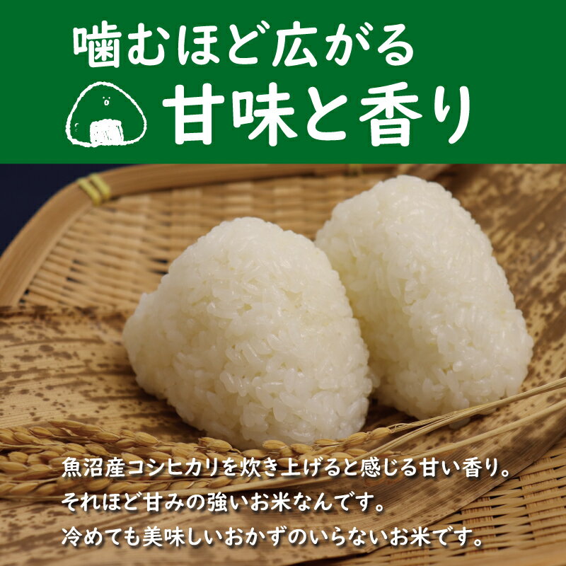 サンプル画像3