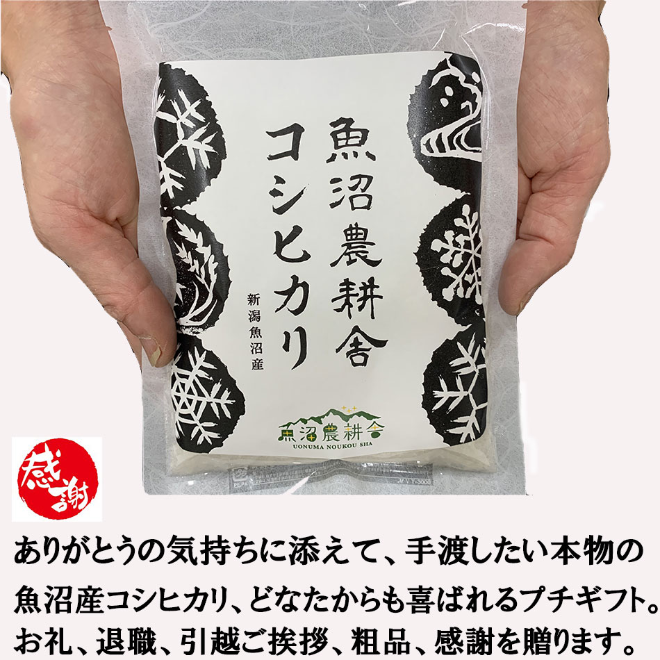 魚沼産コシヒカリ 魚沼産コシヒカリ 精米 300g 2合 10個セット 米 小分け お米 2合パック お米2合 プチギフト 挨拶 回り 粗品 挨拶米 お礼の品 新潟コシヒカリ300g コシヒカリ こしひかり 300グラム 引越し挨拶ギフト 引越し プレゼント のし 引っ越し挨拶品 ギフト 送料無料 引越し挨拶粗品