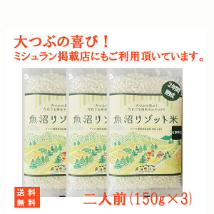 【有名店でも使用】 キャンプ米 リゾット 米 パエリア 150g×3袋 お米 こめ コメ 美味しいお米 おいしいお米 レトルト イタリアン 本格的 イタリア料理 米料理 材料 食材 美味しい 業務用 おいしい プレゼント 洋食 ご当地グルメ お取り寄せ