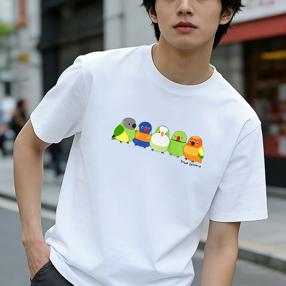 樂天商城 - Tシャツ メンズ 半袖 グラフィックプリント 100％コットン 色とりどりの鳥が一列に並んでいる おもしろいTシャツ カジュアルTシャツ ティーシャツ 春 夏 男子 中学生 通気性 速乾 吸汗発散 丸首 アウトドア ストレッチ ギフト プレゼント