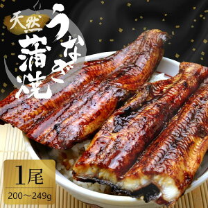 天然うなぎ蒲焼き 国産 肝付き 【200〜249g】 冷凍 甘過ぎない代々のタレ 鰻 ウナギ 天然 天然鰻 天然ウナギ 天然うなぎかば焼き お歳暮ギフト 御歳暮 父の日 土用丑 土用丑の日 お中元ギフト 敬老の日 プレゼント 青鰻 青うなぎ グルメ 栄養補給 夏バテ防止