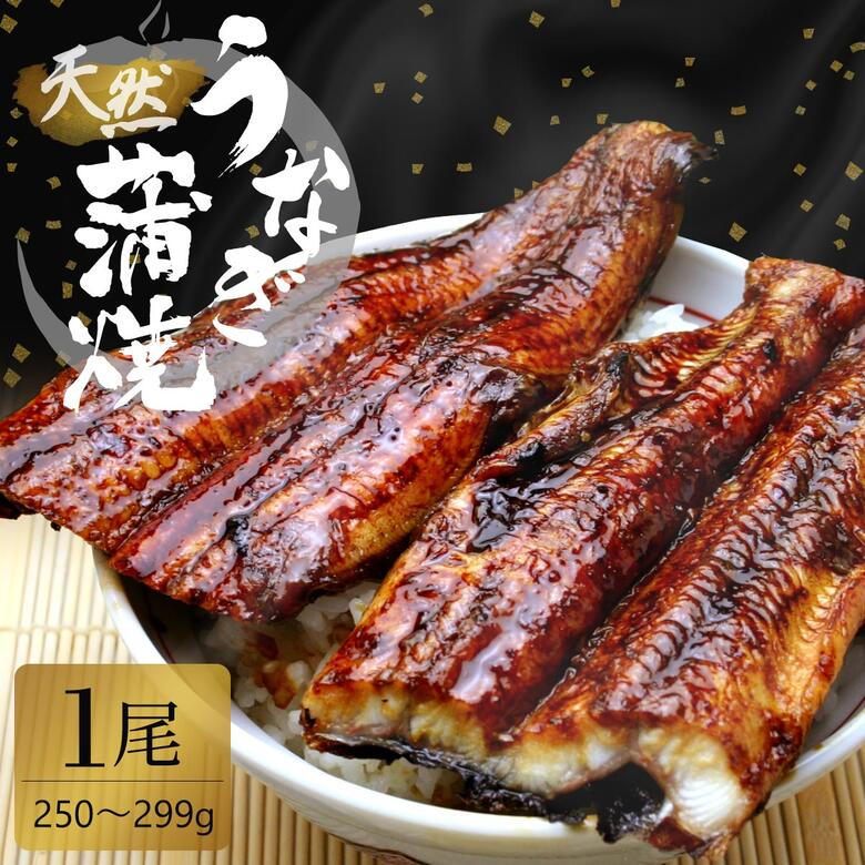 天然うなぎ蒲焼き 国産 肝付き 【250〜299g】 冷凍 甘過ぎない代々のタレ 鰻 ウナギ 天然 天然鰻 天然ウナギ 天然うなぎかば焼き お歳暮ギフト 御歳暮 父の日 土用丑 土用丑の日 お中元ギフト 敬老の日 プレゼント 青鰻 青うなぎ グルメ 栄養補給 夏バテ防止のサムネイル