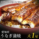 ⇒他にも愛知の特産・名物 愛知県産鰻蒲焼 タレは6代続く当店のこだわりの特製！ 内容量 大1尾　（約140g前後×1 ） ※頭は付いていません。 原材料 鰻 [養殖]（愛知県産）、たまり、砂糖、ザラメ、氷砂糖、日本酒、ハチミツ、原材料の一部に小麦・大豆含 賞味期限 発送日を含め冷蔵で5日間 保存方法 冷蔵庫（10℃以下）で保存して下さい。 製造者 ・販売者 株式会社魚佐太 三重県いなべ市北勢町阿下喜1012-3 配送方法 クロネコヤマト ・クール便 ◆日曜・祭日、水曜日は発送出来ません。 ◆竹ひご化粧箱にお入れする際は 　コチラから竹ひご化粧箱をお買い求めください。当店では生きた状態で朝開いた鰻を焼いております。これが大変重要で、開いたあと数時間は鰻の身が活きており焼くとふっくら身が厚く仕上がります。逆に翌日などに蒲焼にすると身が薄く、生臭さも出てきてしまいます。 身の厚い鰻蒲焼というのは、蒲焼きにする鰻の鮮度が非常に良いわけです。 また、淡水魚は海の魚と比べて鮮度の落ち方が早く、あっという間に生臭くなってしまいます。 お刺身で食べても大丈夫なほどの鮮度の鰻を蒲焼きにすることで、生臭くない鰻の蒲焼きが出来上がります。 タレは、鰻の骨から血や汚れを取り除き、丁寧に焼き上げたものを日本酒でゆっくりエキスを煮出します。 煮出してできた黄金色の出汁に溜り醤油などを加えて作り上げます。 出来上がったタレは、代々受け継がれてきた秘伝のつけダレに随時足しています。 スーパーなどで販売されている鰻の蒲焼きを、甘過ぎると感じたことはありませんか？ 甘味が強いと雑味が有ってもわからなくなります。それと同時に本来の旨味も感じにくくなります。 当店のタレは代々受け継がれた甘味を抑えたタレで、鰻の旨味を損ないません。 さらに余分な雑味を無くすために増粘剤などとろみをつける成分を増強しておりません。じっくり焼き上げることで砂糖（ザラメ）や味醂の成分で艶が出るのです。 お客様の声（今まで通販でご購入頂いたお客様から） -------------------- mayuko1998さんのレビュー(2010/04/29 18:03) 　とっても美味しい鰻(^^) ★★★★★ ちょっと早いですが、母の日と父の日のプレゼントとしてはじめてうなぎのかばやきを通販でお取り寄せ♪両親はとても喜んでくれました♪私はうなぎが嫌いだったのですが、余りにもおいしそうにパクパク食べてる母を見て、私も食べてみたらビックリ!!!「うなぎって美味し〜い＾フ＾」と完璧、うなぎが大好物になりました！土用の丑の日もありますし近い内に自分用もリピします(^∀^)ノ -------------------- ponkichi301さんの評価 ： とてもよい 日時 ： 2010/06/23 12:11 　本日届きました♪お昼に頂きましたが、めっちゃめちゃ美味しかったです！これなら毎週食べたいくらいです♪もぅまた注文しちゃいます。脂がのっていて肉厚で、スーパーのうなぎは今後食べられませんヾ(≧∇≦)〃本当に美味しかったです！またうなぎを通販したいと思います！ありがとうございました！！！ -------------------- 特製の鰻のタレと粉山椒・山葵付き！ 弊店でこだわりを持って炊き上げたタレです。市販のタレとは一味も二味も違います！　 うなぎを通販したことのないお客様も是非この機会にご賞味くださいませ。 粉山椒はお好みでふりかけてお召上がり下さい。 鰻問屋さんが朝開いて、丁寧に手焼きし当日冷蔵発送します！ ◆日曜・祭日、水曜日は発送出来ません。 （お届け後すぐに冷凍していただければ、1ヶ月程度美味しくお召上がりいただけます。） キレイな包装のままお客様に！ 御贈答用には2重包装いたします。 　のしを掛け、本包装した上にさらに簡易包装いたします。簡易包装に送り状を貼りお送りしますので、簡易包装を取り除けば綺麗な本包装が現れます。当店から送らせていただいても綺麗な状態で贈り先へお届け出来ます。（牡蠣は包装出来ません。熨斗はお入れします。） ＊熨斗対応いたします。 　・内熨斗、外熨斗、名前など、コメント欄またはメールなどでご指示ください。