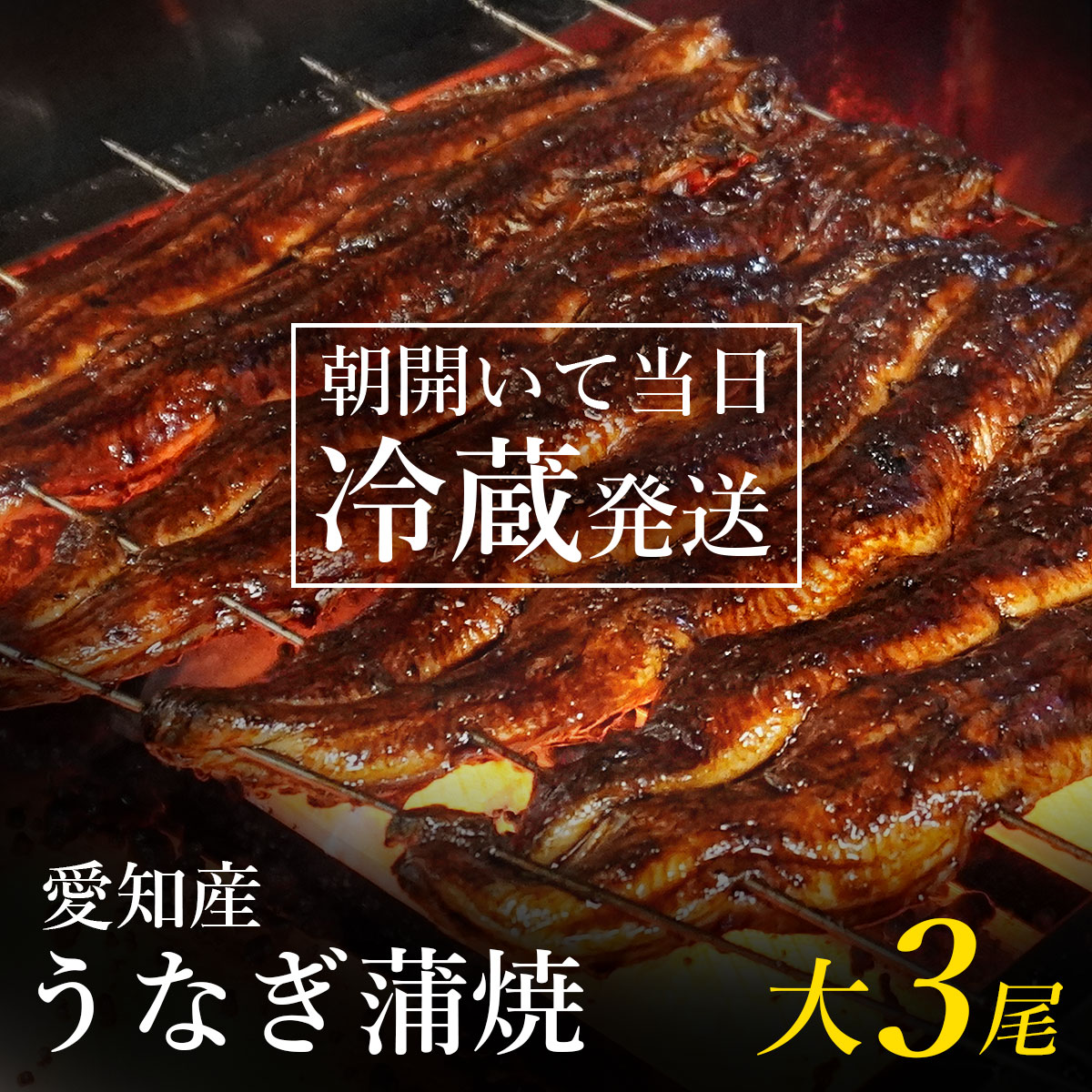 うなぎ 【大3尾】[SALE] 国産 朝開き冷蔵発送 【タレ焼肝付き 送料無料】 うなぎ国産 鰻蒲焼き 愛知県産 鰻 蒲焼 ギフト 贈答品 御贈答用 贈り物 ウナギ うなぎの蒲焼 うなぎ蒲焼 国産 土用丑 土用の丑 土用の丑の日 うなぎかば焼き 父の日 プレゼント 真空パック 関西風