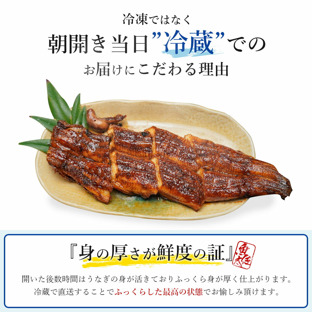 期間限定特価 うなぎ 大3尾 国産 朝開き冷蔵発送 タレ焼肝付き 送料無料 うなぎ国産 鰻蒲焼き 愛知県産 鰻 蒲焼 ギフト 贈答品 御贈答用 贈り物 ウナギ うなぎの蒲焼 うなぎ蒲焼 国産 土用丑 土用の丑 土用の丑の日 うなぎかば焼き 父の日 プレゼント 真空パック 関西風 期間限定特価 うなぎ 大3尾 国産 朝開き冷蔵発送 タレ焼肝付き 送料無料 うなぎ国産 鰻蒲焼き 愛知県産 鰻 蒲焼 ギフト 贈答品 御贈答用 贈り物 ウナギ うなぎの蒲焼 うなぎ蒲焼 国産 土用丑 土用の丑 土用の丑の日 うなぎかば焼き 父の日 プレゼント 真空パック 関西風