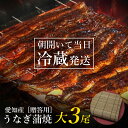 うなぎ国産 鰻蒲焼き愛知県産 鰻 蒲焼 御贈答用 新鮮 国産 冷蔵発送 贈答品 贈り物 うなぎ ウナギ うなぎの蒲焼 鰻生産高第二位愛知産 市町村別鰻生産高第一位 一色産 土用丑 土用の丑 うなぎかば焼き 贈り物