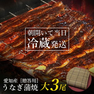 うなぎ国産 鰻蒲焼き【送料無料】愛知県産 鰻 蒲焼 【大3尾】御贈答用【竹ひご箱入】 新鮮 国産 冷蔵発送 贈答品 贈り物 うなぎ ウナギ うなぎの蒲焼 鰻生産高第二位愛知産 市町村別鰻生産高第一位 一色産 土用丑 土用の丑 うなぎかば焼き 贈り物