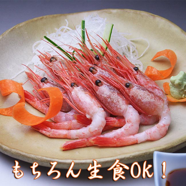 船凍甘えびMサイズ1kg送料無料