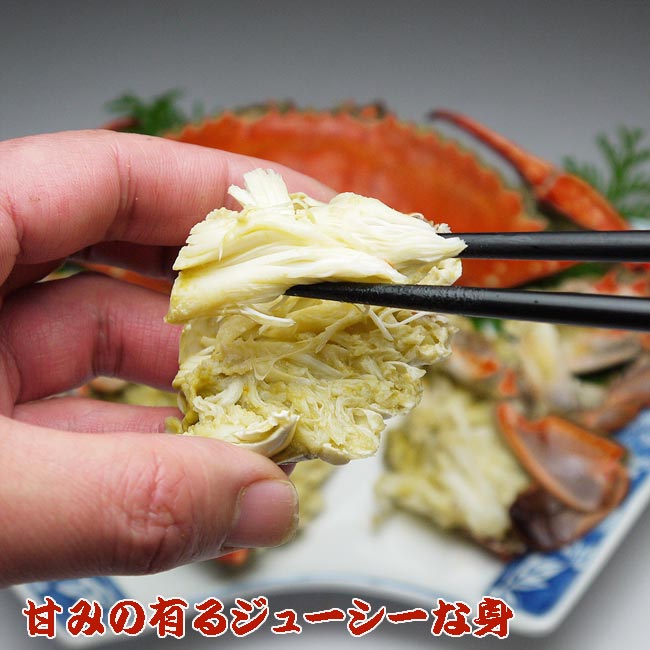 わたり蟹 国産 桑名産 ボイル 5匹 訳あり 大サイズ 【送料無料】 茹で ゆで ガザミ ワタリ蟹 かに 蟹 わたりがに 冷凍 カニ ワタリガニ 御歳暮 お歳暮 父の日 お礼 手土産 年末年始 贈答 贈物 贈り物 ギフト プレゼント X'mas Xmas クリスマスパーティー