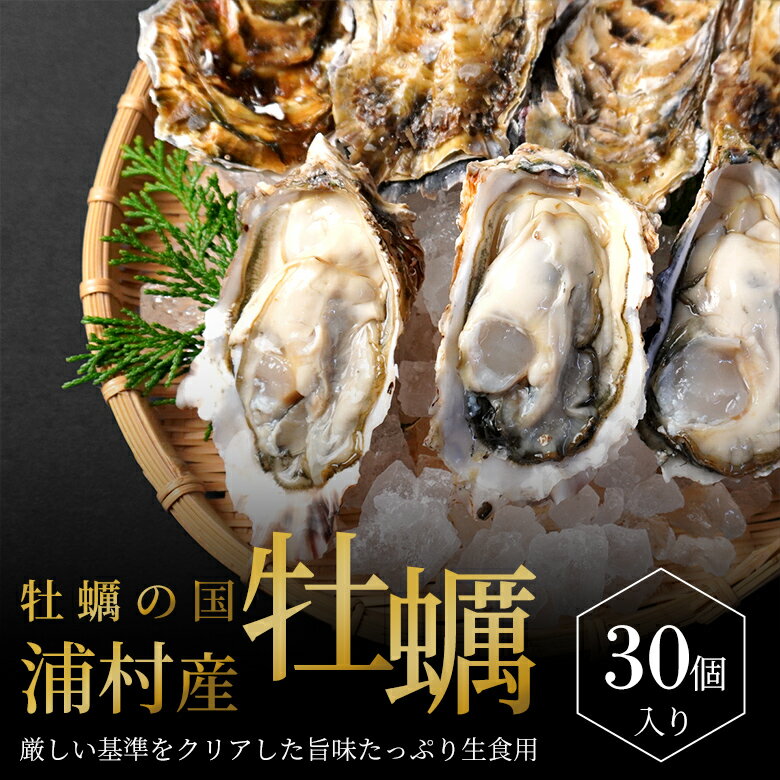 牡蠣 殻付き 生食用 30個入り【送料無料】 産地直送 ダイレクト便 生牡蠣 生食 生牡蛎 かき カキ 鳥 国産 活け貝 生貝 お刺身 おさしみ 殻付き牡蠣 殻つき セル牡蠣 一番人気 グルメ お取り寄せ お取寄せ 三重県産 鳥羽浦村から直送