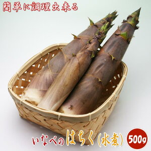 国産 はちく水煮(たけのこ) 500g(250g×2) 孟宗竹と違いアクが少ない！ 　　　　　[ハチク][淡竹][破竹][山菜][春野菜][竹の子][旬][みそ和え][天婦羅][てんぷら][牛肉巻き][お返し][贈答][贈り物][贈物][お土産][天然]05P18Jun16