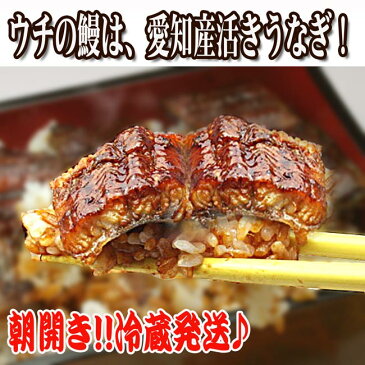 【送料無料】鰻トロセット（愛知産うなぎ蒲焼き[大1尾]と生ネギトロ[200g]のセット）　　　　　[お歳暮ギフト/お中元ギフト/父の日/敬老の日/国産/お中元ギフト/ランキング/肴/酒/贈答/プレゼント/魚/ビール/おつまみ/ねぎとろ丼/02P03Dec16/ネギトロ丼/刺身/鰻蒲焼き]